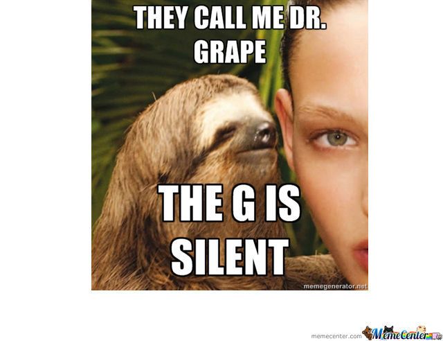 Dodgy Sloth Funny Memes, Jokes, Sloth Memes, Funny Sloth, Can't Stop L...