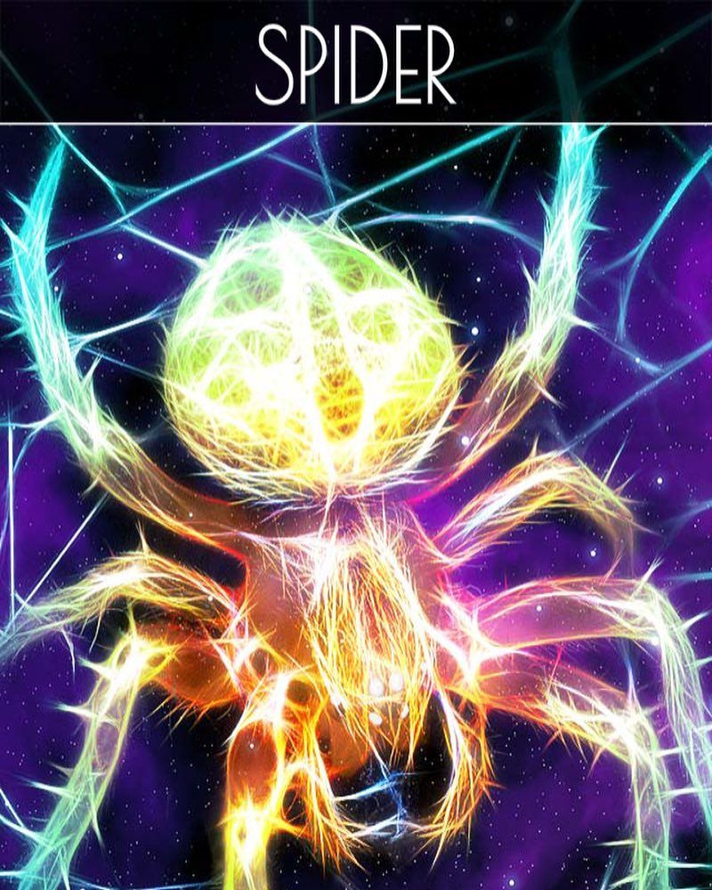 spider is the messenger