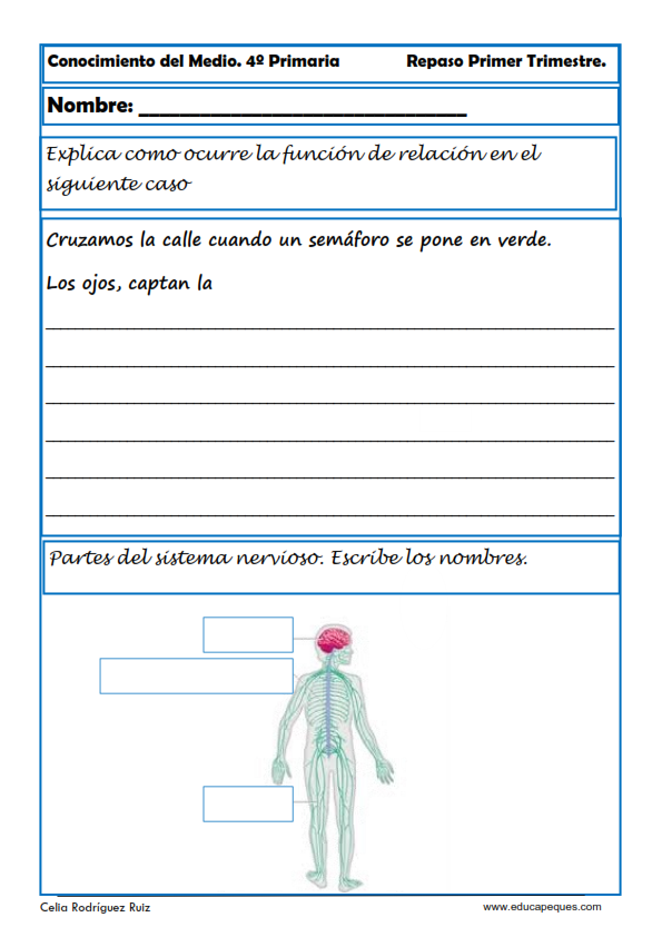 Fichas Conocimiento del Medio Cuarto de Primaria | Pinterest ... Fichas Conocimiento del Medio Cuarto de Primaria | Pinterest ...
