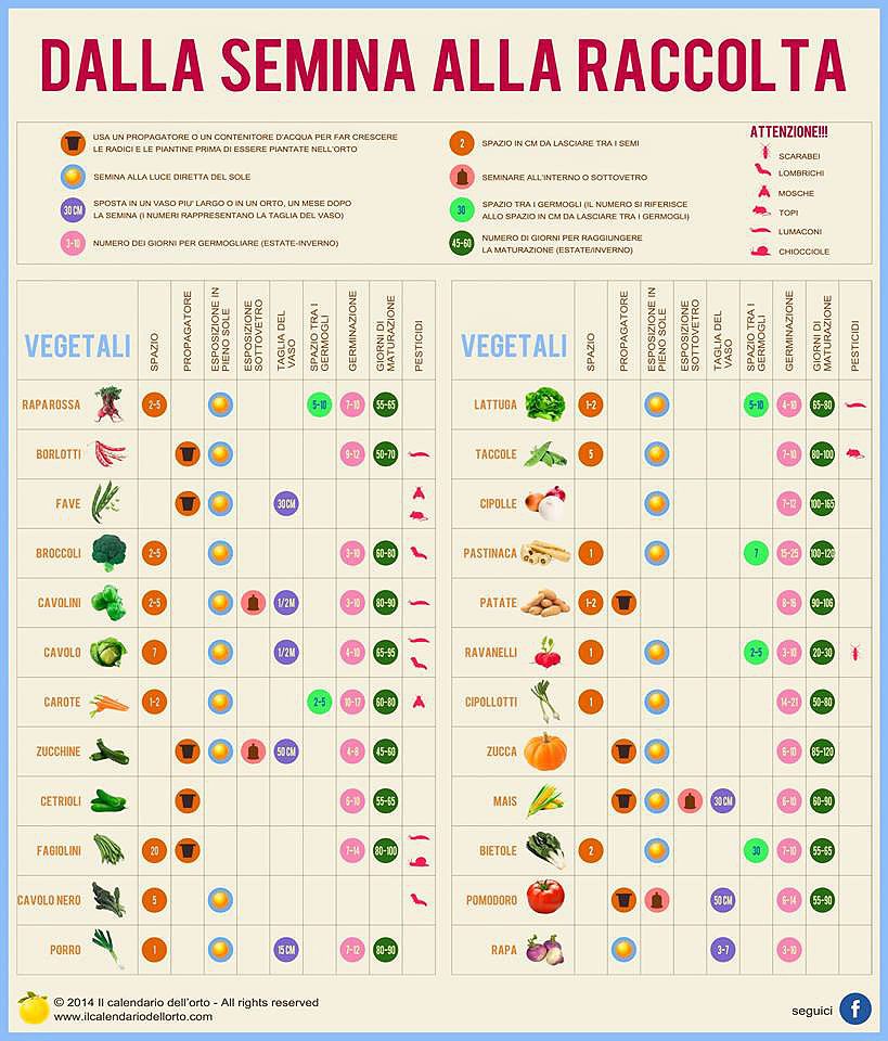 Il Calendario dell'Orto Schede tecniche Orto, Orto in