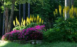 Pinterest Photo