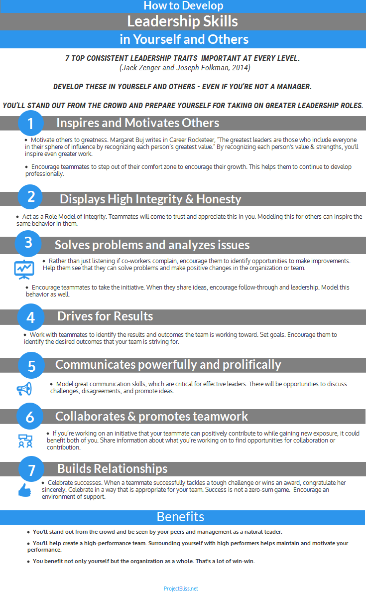 Management Skills for Project Leaders: What to do when you do not know what to do