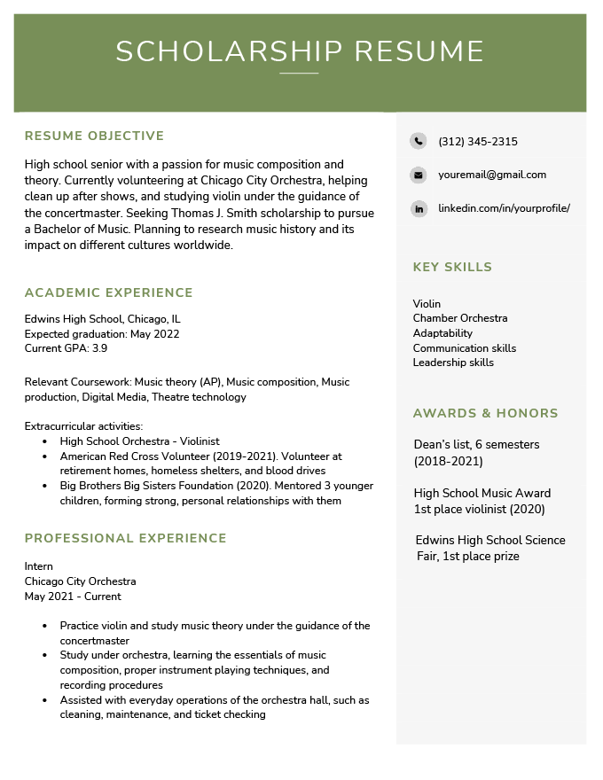 Scholarship Resume Examples & Template(08)