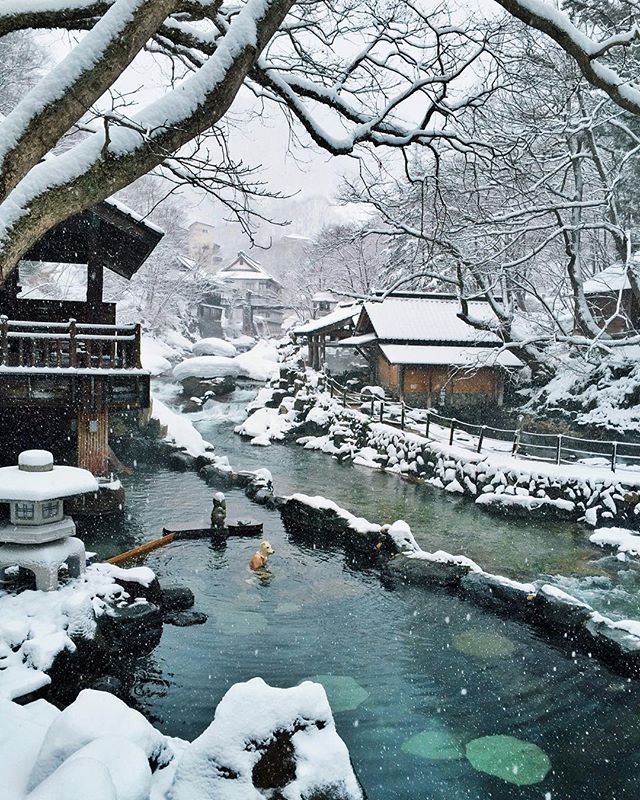 It is winter in japan