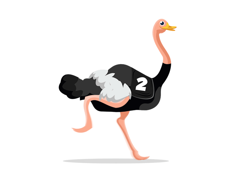 photo Ostrich Gif Cartoon pin on broadcast channel
