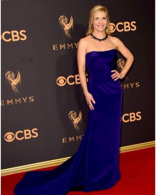 She wanted to become like her grandmother and studied drawing, architecture, and painting at a young age. Red Carpet Dresses 2017, Emmys Red Carpet, Celebrity Red Carpet, Celebrity Style, Purple Dress, Blue Dresses, Rhea Seehorn, Fancy Gowns, The Emmys