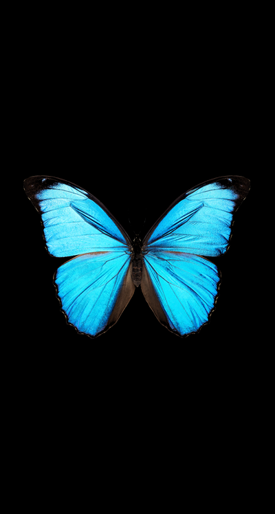 Pin by emma avetisyan on Blue in 2020 | Blue wallpaper iphone, Blue