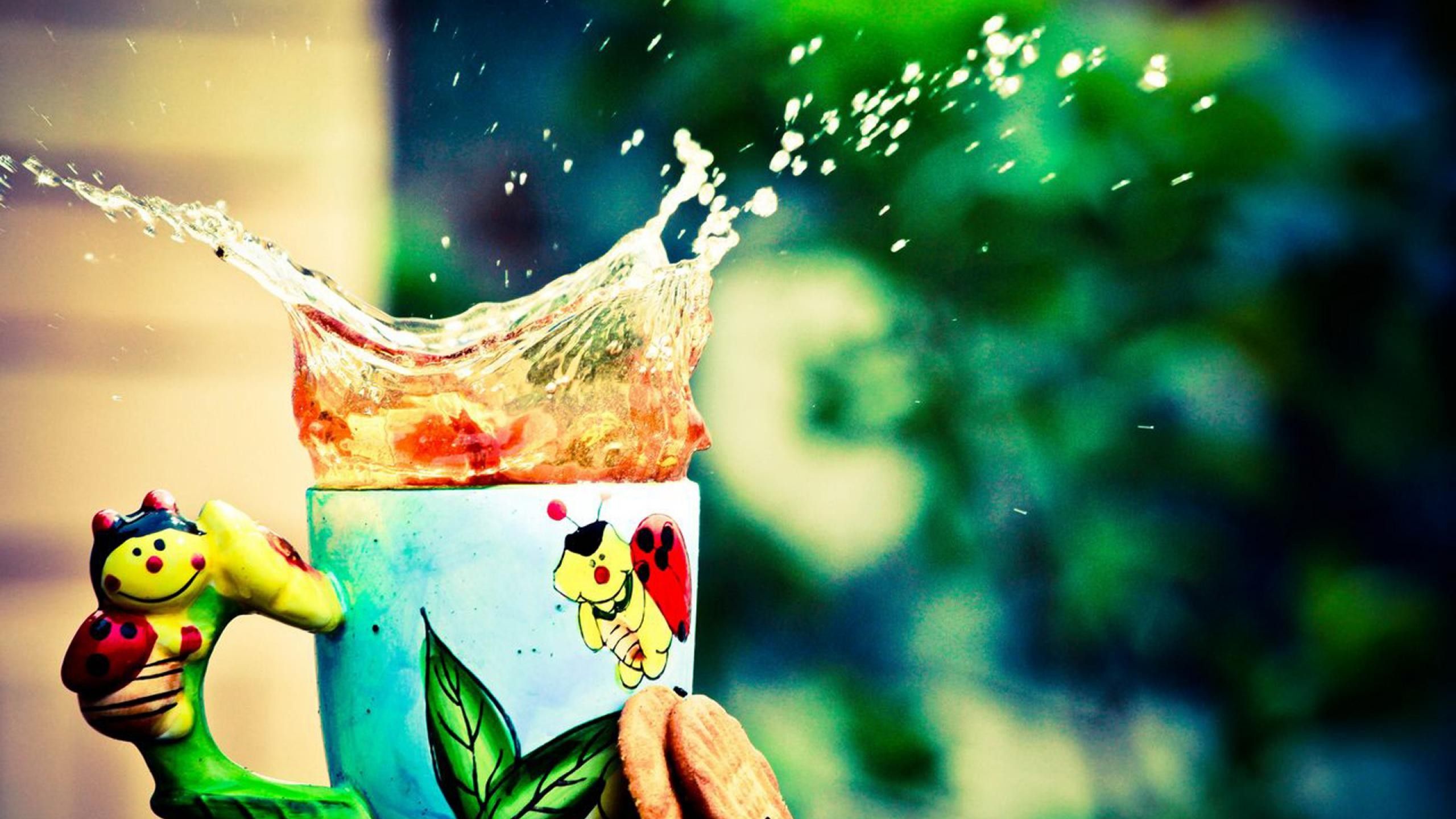 photography hd