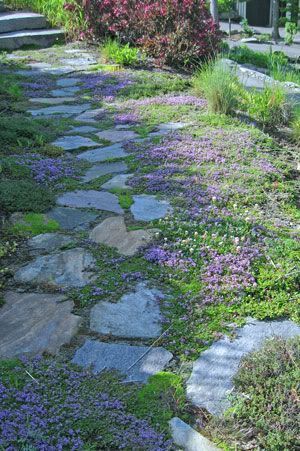 gardening path ideas garden paths ideas backyard landscape garden ideas garden garden design land