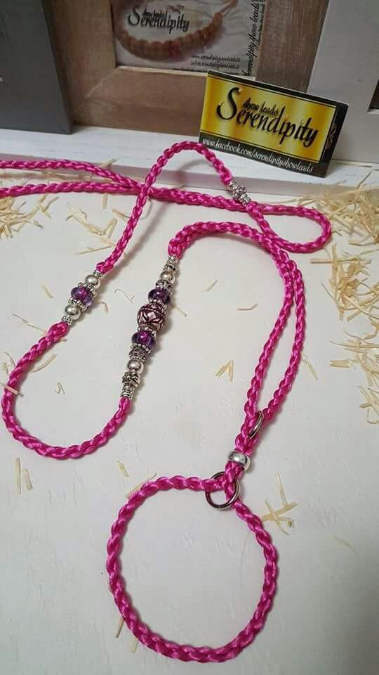 Pin By Amanda Stachowicz On Crafting Diva Dogs Dog Show Dog Leads