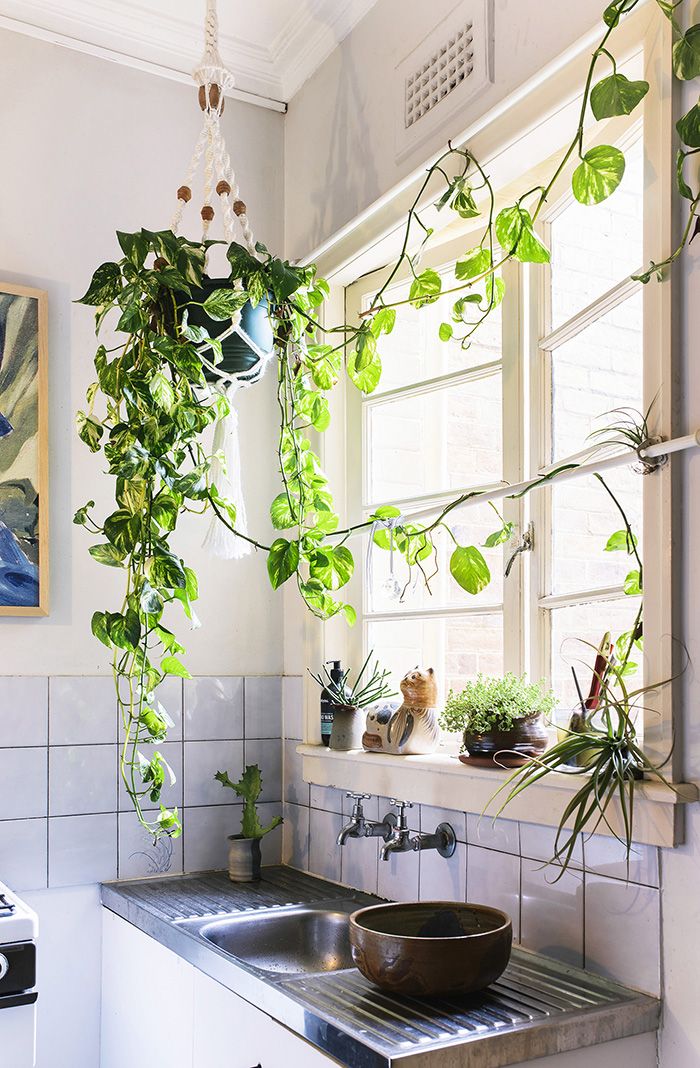 a brisbane home filled with light and treasured collections decoration naturelle appartement boheme maison retro hanging plant in car