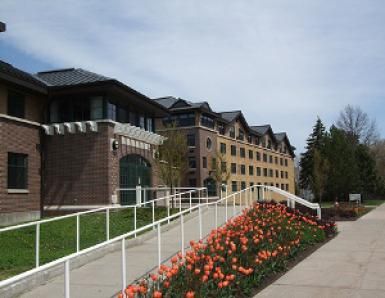 Oswego admissions essay