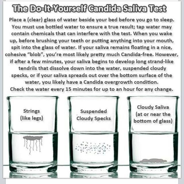 candida overgrowth test candida overgrowth test