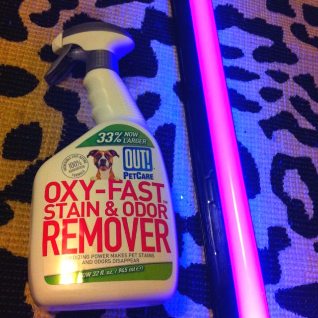 What Is The Best Cleaner For Dog Urine In Carpet What Is The Best Cleaner For Dog Urine In Carpet