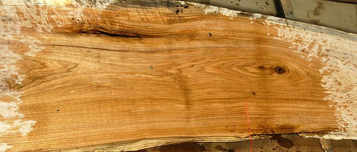 butternut nicknamed white walnut due to its similar