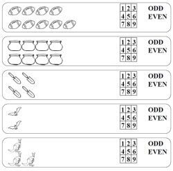 odd and even numbers activities worksheets printables and lesson