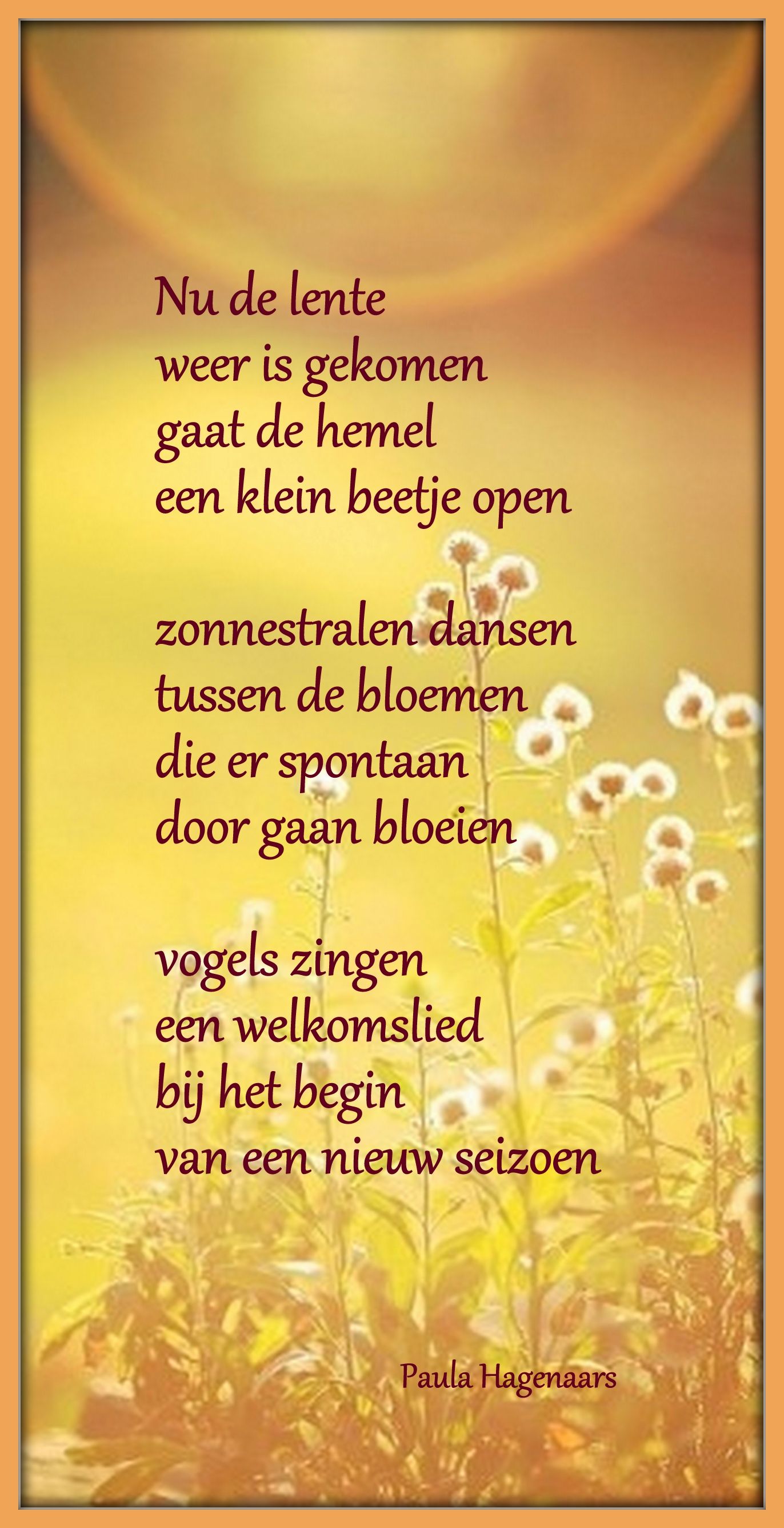 bloem die open gaat met schaduw gedichten paula hagenaars mijn fotogedichten pinterest bloem die open gaat met schaduw gedichten paula hagenaars mijn fotogedichten pinterest