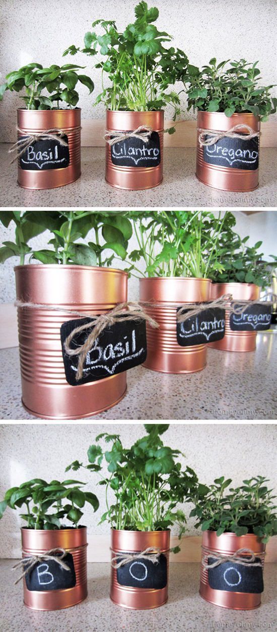 15 Indoor-Garten-Ideen für kleine Wohnungen