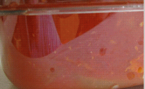 Removing Tomato Stains From Plastic Tupperware Kitchen Tricks Removing Tomato Stains From Plastic Tupperware