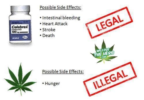 0010 Celebrex vs Marijuana My Style Cannabis, Drugs, Weed 0010 Celebrex vs Marijuana My Style Cannabis, Drugs, Weed