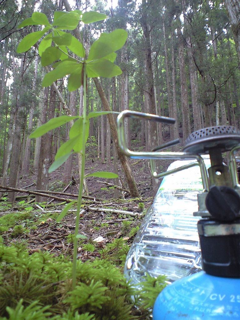 車中泊におすすめのコンロ ハイエース4人家族で車中泊 ナローボディでも快適なバンライフを ライフ 車中泊 野宿 車中泊におすすめのコンロ ハイエース4人家族で車中泊 ナローボディでも快適なバンライフを ライフ 車中泊 野宿