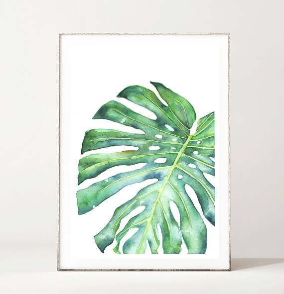 Art set of 5 Botanical Tropical Leaf Leaves A4 Vintage Reproduction Prints