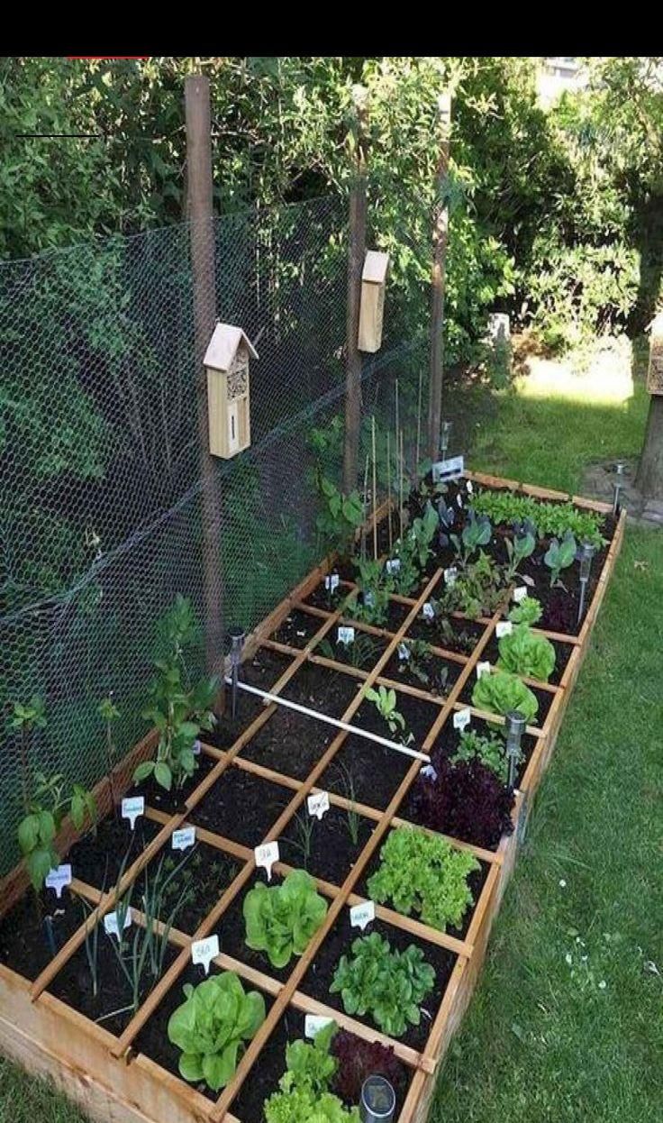 48 Fascinating Small Backyard Landscape Designs To Your Garden #aesthetic #salad #bts #party #instan...
