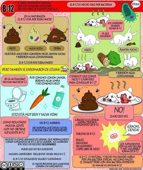 dieta vegana e vitamina b12