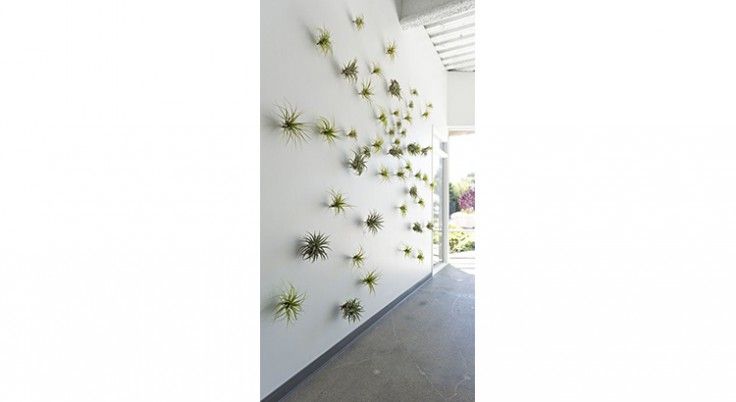 20 astuces pour décorer ses murs sans percer décorer mur