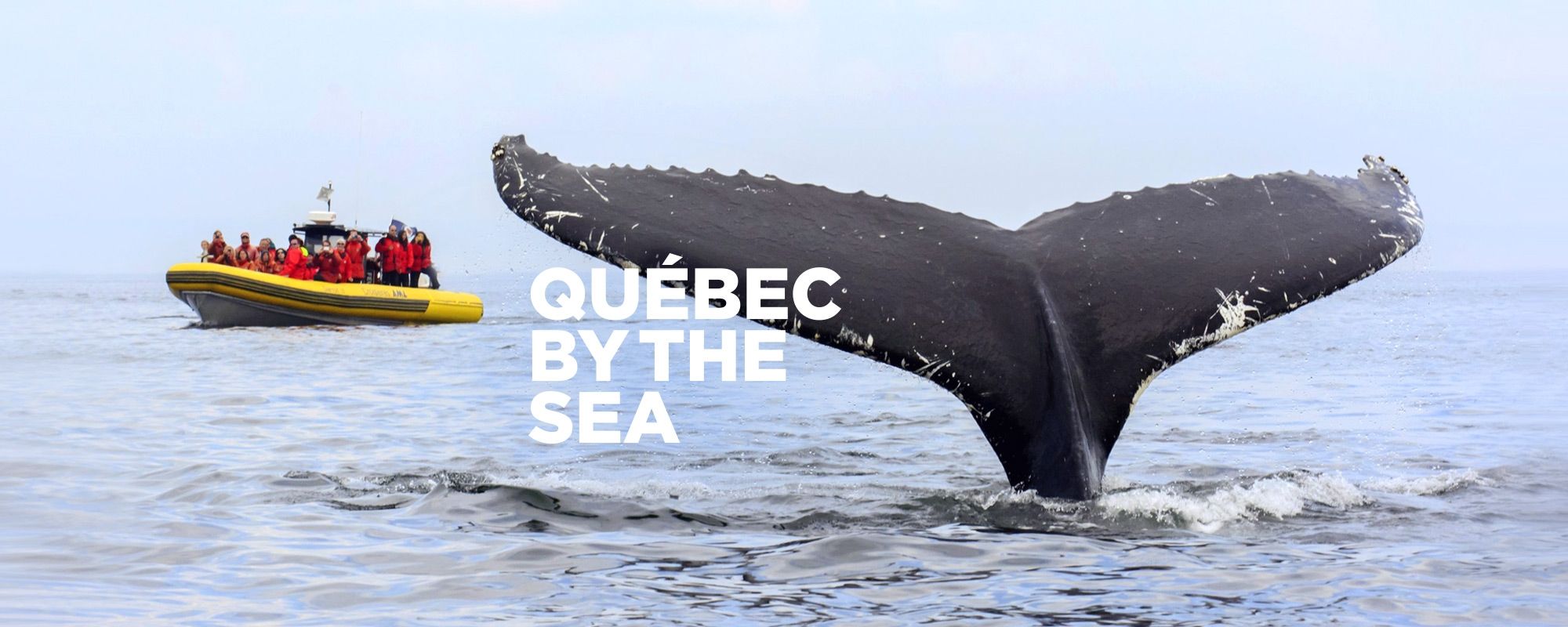 The Whale Route Road Trip Quebec Maritime Road Trip Trip Route