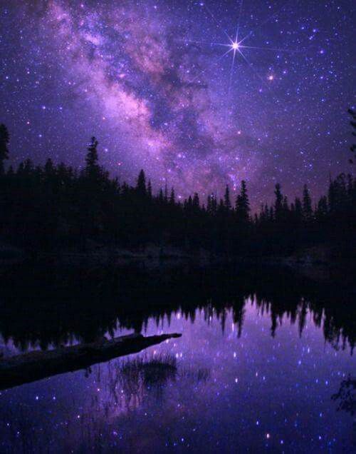 Twilight Reflection