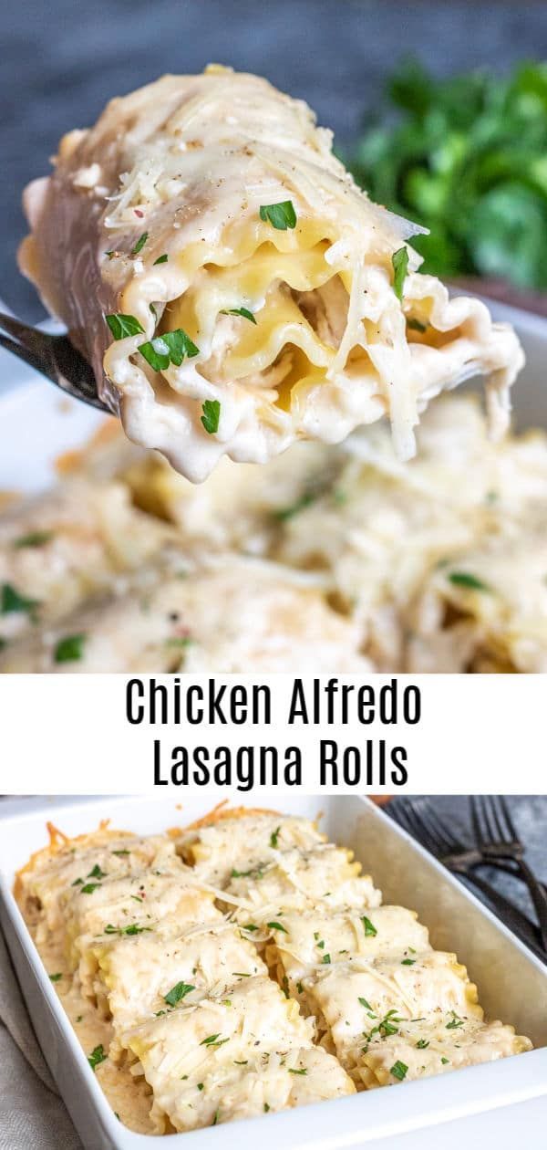 Chicken Alfredo Lasagna Roll Ups