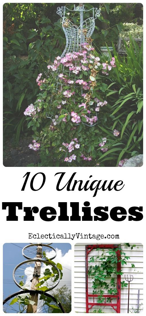 Unique Trellis Ideas Part - 18: 10 Unique Trellis Ideas - Iu0027m Definitely Trying Some Of These! Kellyelko.