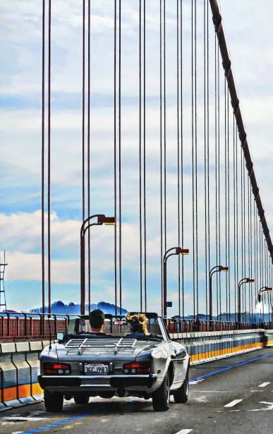 Sports Car On The Bridge Free Stock Photo Public Domain Pictures Sports Car On The Bridge Free Stock Photo Public Domain Pictures