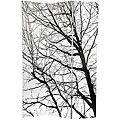 Canvas Winter Trees Double-sided 6-foot Room Divider (China) | Privacy