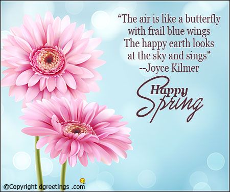 Image Result For Flower Quotes Pinterest Spring Image Result For Flower Quotes
