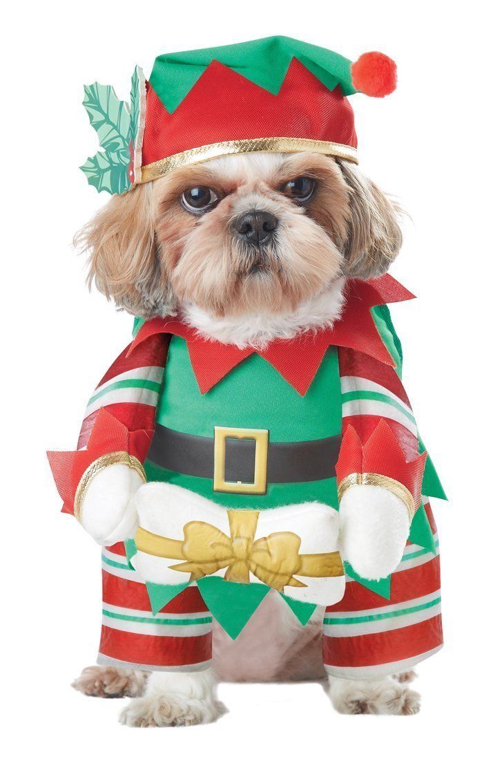 ZJX Pet Christmas Costumes Dog Suit With Cap Santa Suit Dog Hoodies ZJX Pet Christmas Costumes Dog Suit with Cap Santa Suit Dog Hoodies Elf Pup Dog Costume -- Check this awesome image : Christmas Presents for Cats - ZJX Pet Christmas Costumes Dog Suit With Cap Santa Suit Dog Hoodies