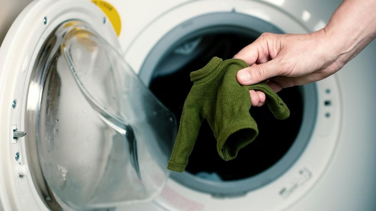 Why Dry Cleaning is always Better than Wash | How to shrink clothes Do Dickies Shrink In The Dryer