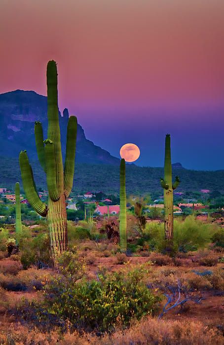 x Pretty Places, Beautiful Places, Places To See, Places To Travel, Parcs, Belle Photo, Beautiful World, Beautiful Sunset, Beautiful Landscapes