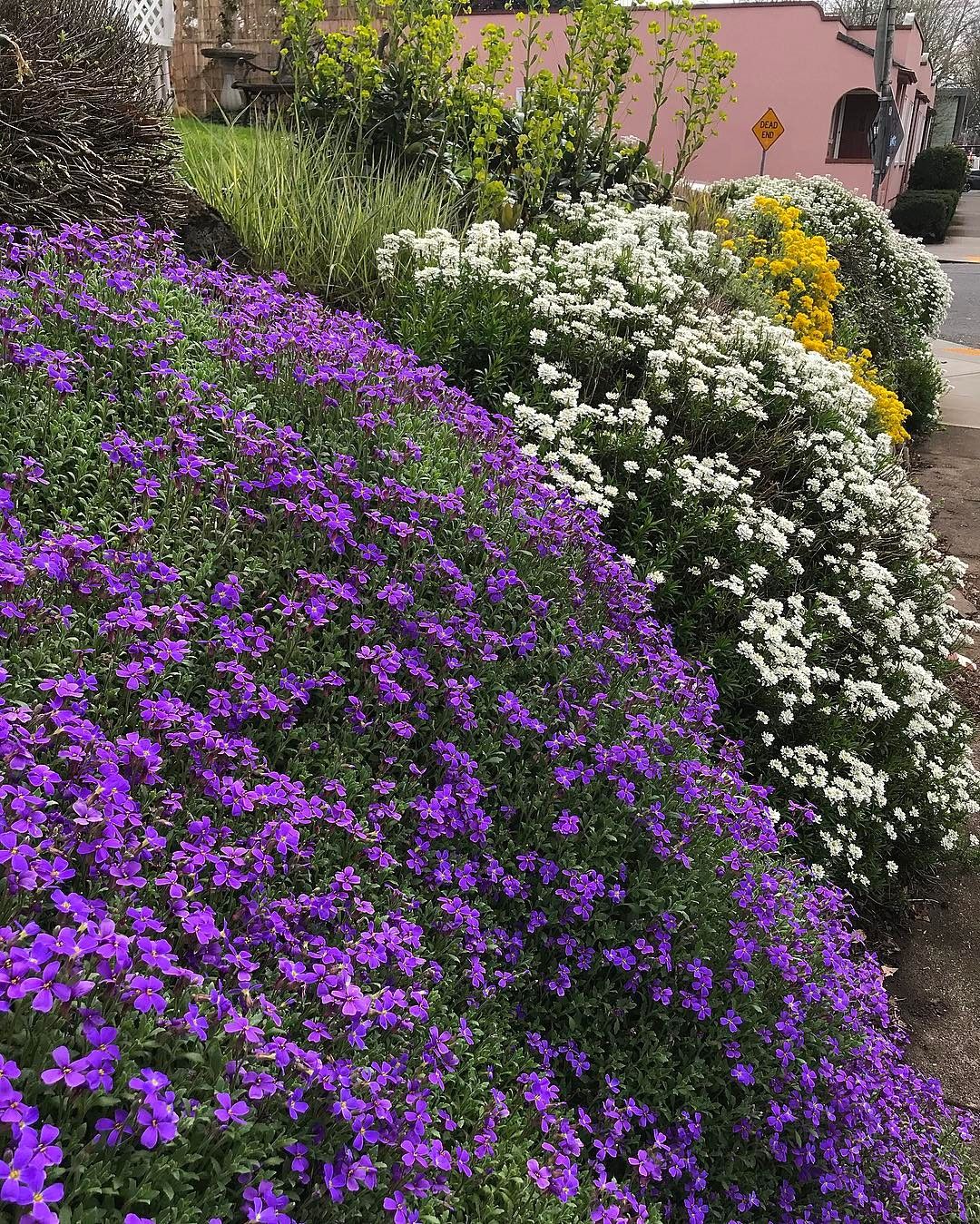 gethsemane garden center chicago il 60660