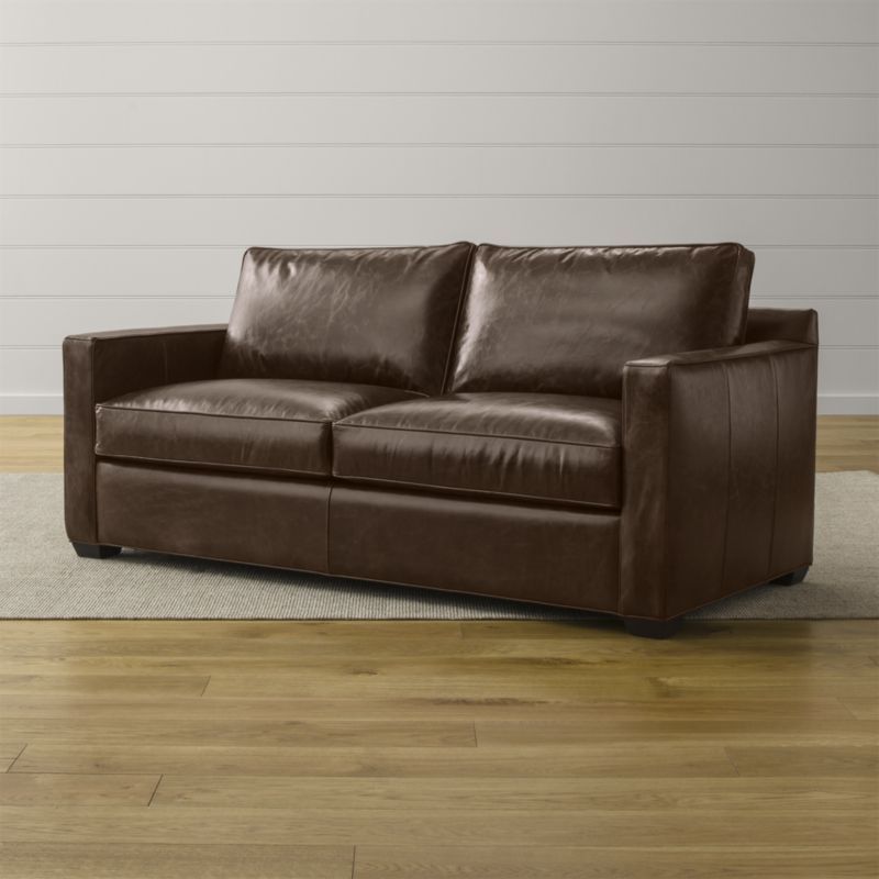 Davis Leather Sofa Sleeper Bed Apartment Leather Sleeper Sofa Bed, Full Leather Sofa Bed