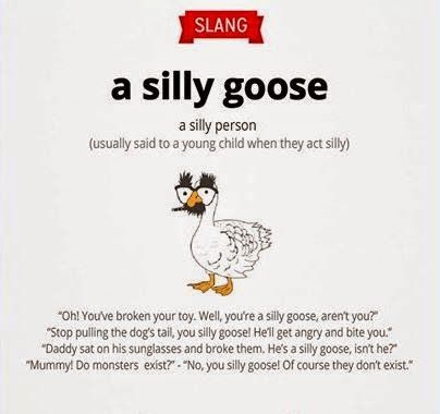 English Is Funtastic Slang The Meaning Of A Silly Goose With