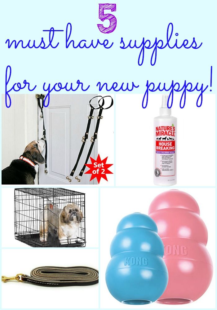 Dog Grooming Supplies Au Dog Grooming Supplies Au
