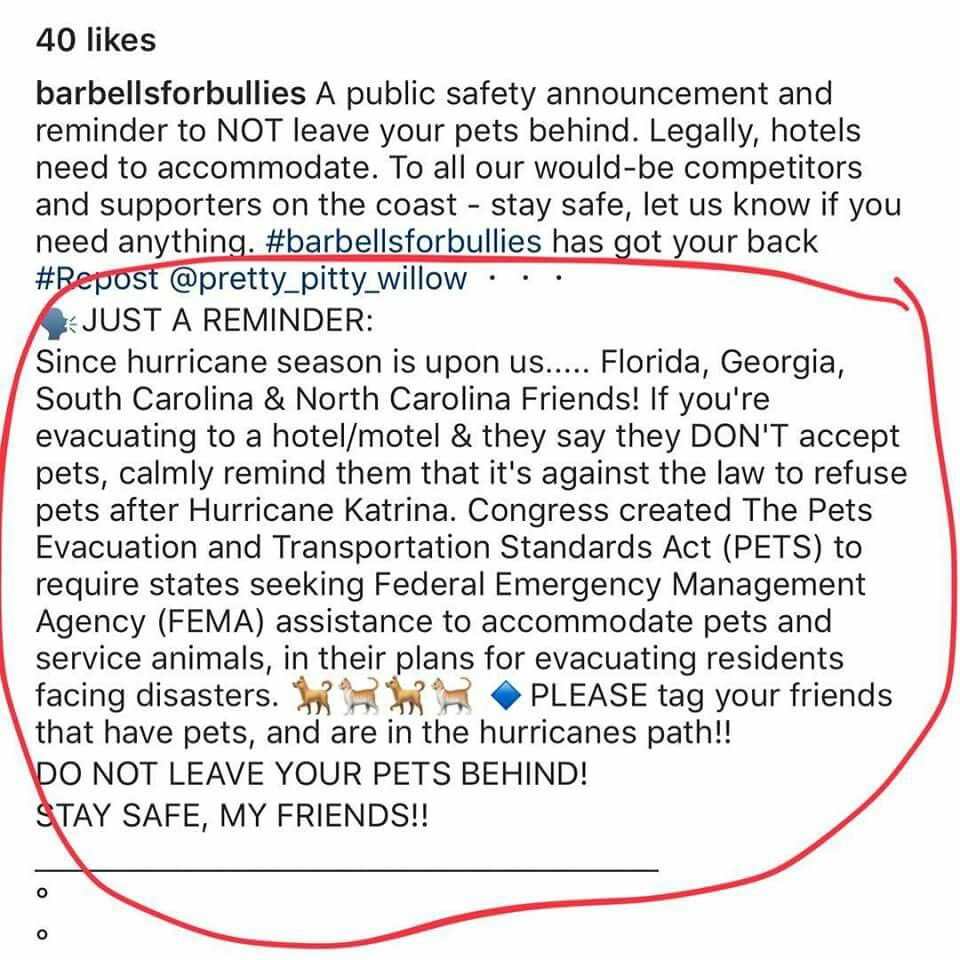 During Hurricane Emergency Evacuation Hotels Cannot Legally Refuse Pets During Hurricane Emergency Evacuation Hotels Cannot Legally Refuse Pets