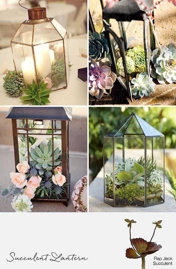wedding lanterns with succulents wedding planning wedding