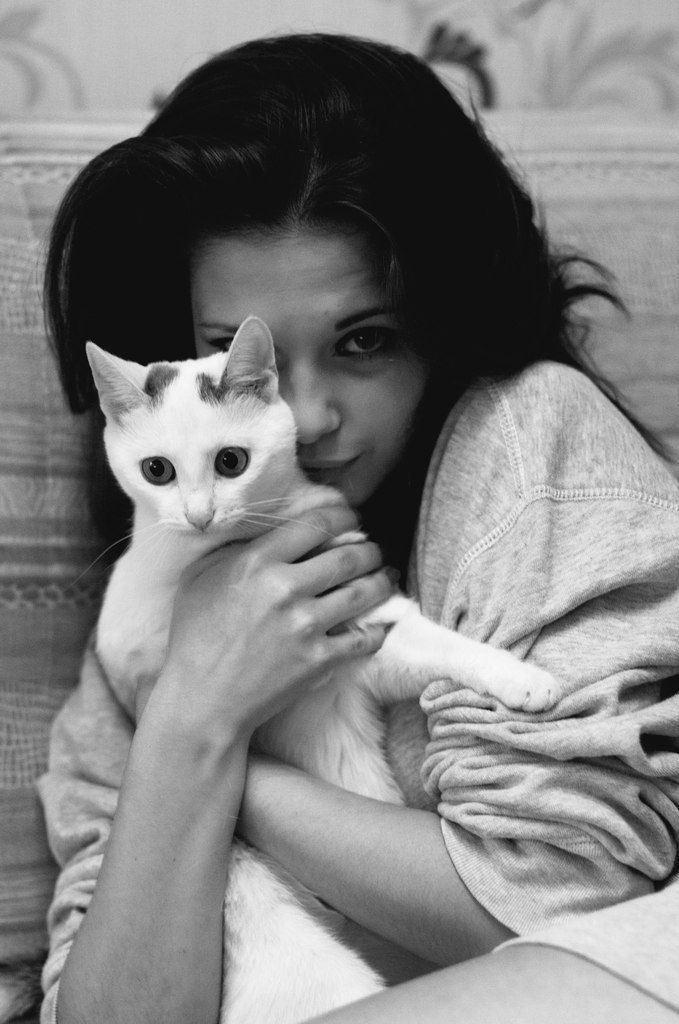 100 Tumblr Cat Love Cats Feline