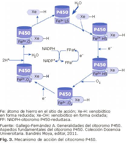 cambiar el metabolismo Consejos y Guía