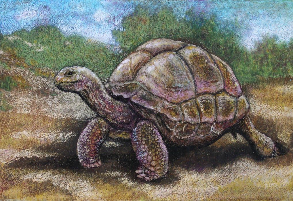This Is Something Different It Is Done In Oil Pastel