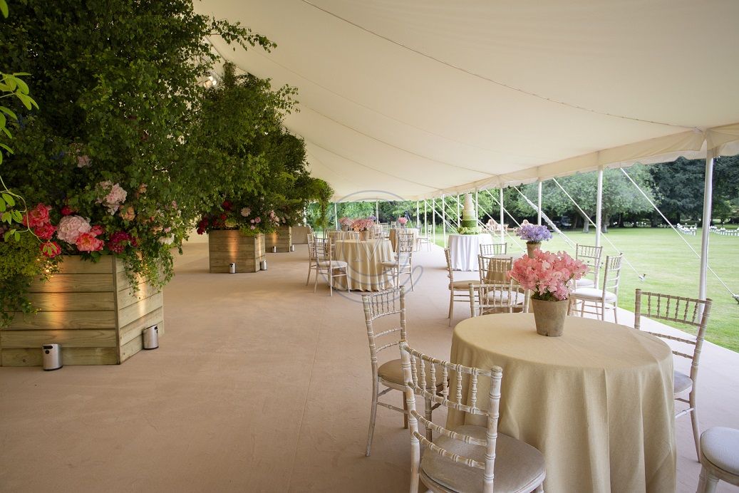 Sky Blue Trim And Blue Carpet Look Clean And Pretty In This Party Marquee Partymarquee Bluecarpet Marquee Hire Marquee Blue Carpet