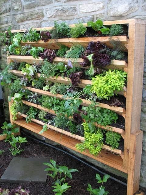 20 Excellent Diy Examples How To Make Lovely Vertical Garden